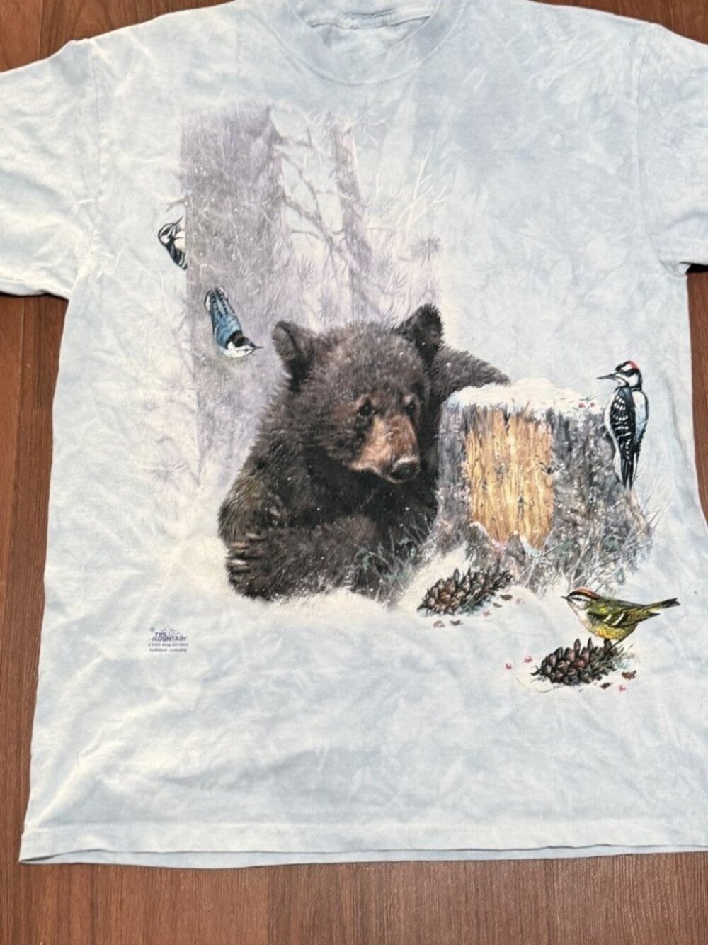 Vintage The Mountain Black Bear T-Shirt Mens M 2003 Tie Dye Nature Graphic Tee